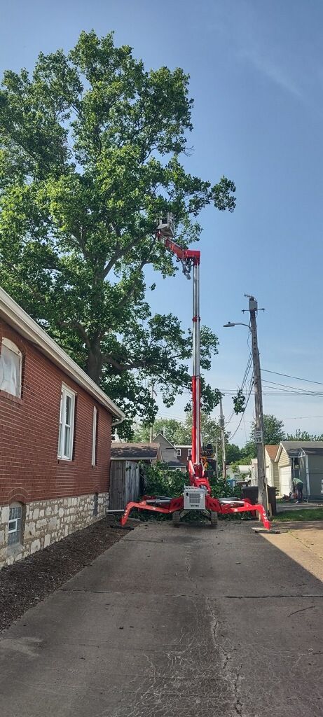 A crane is cutting a tree in front of a brick house.