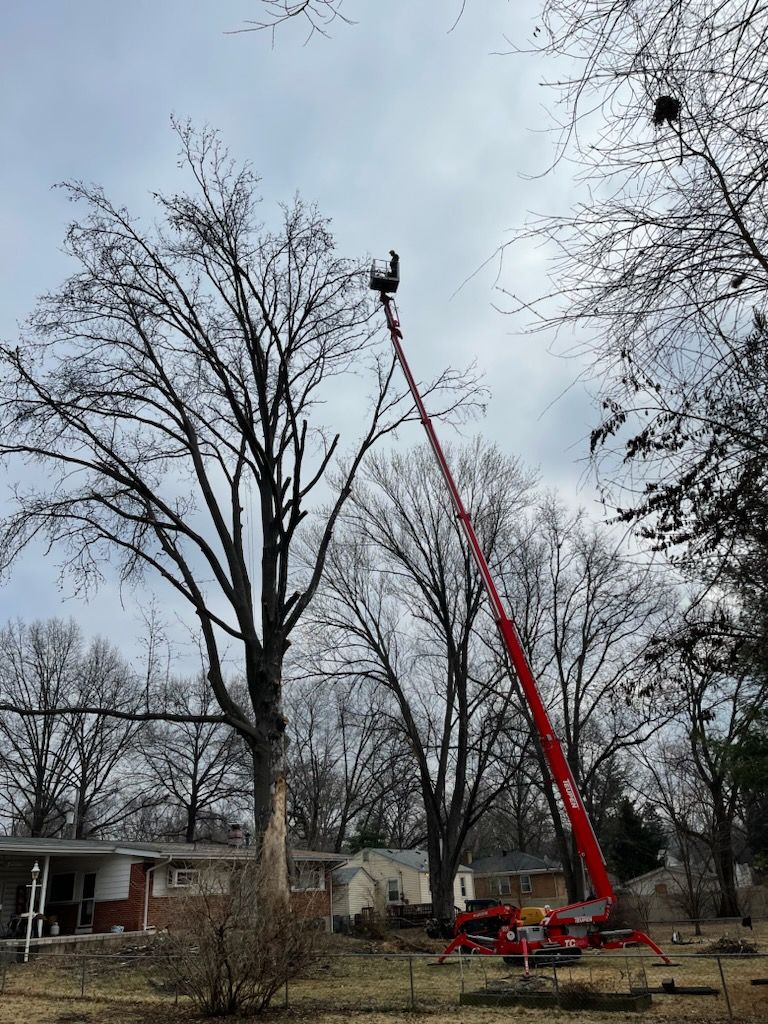 A crane is cutting a tree in front of a house.