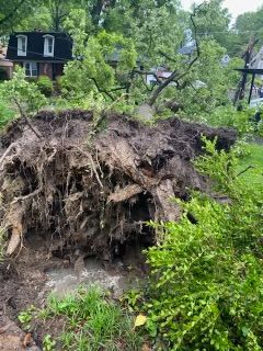 A large tree stump in the middle of a yard next to a house.