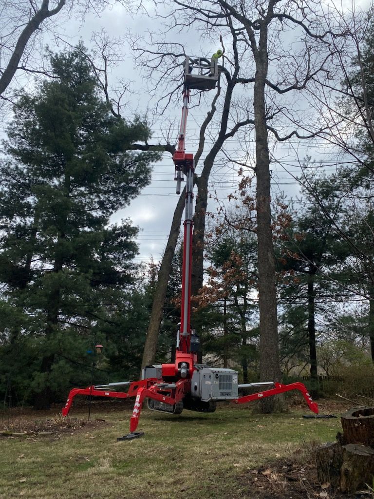 A red crane is cutting a tree in a yard.