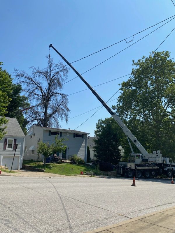 A large crane is cutting a tree in front of a house