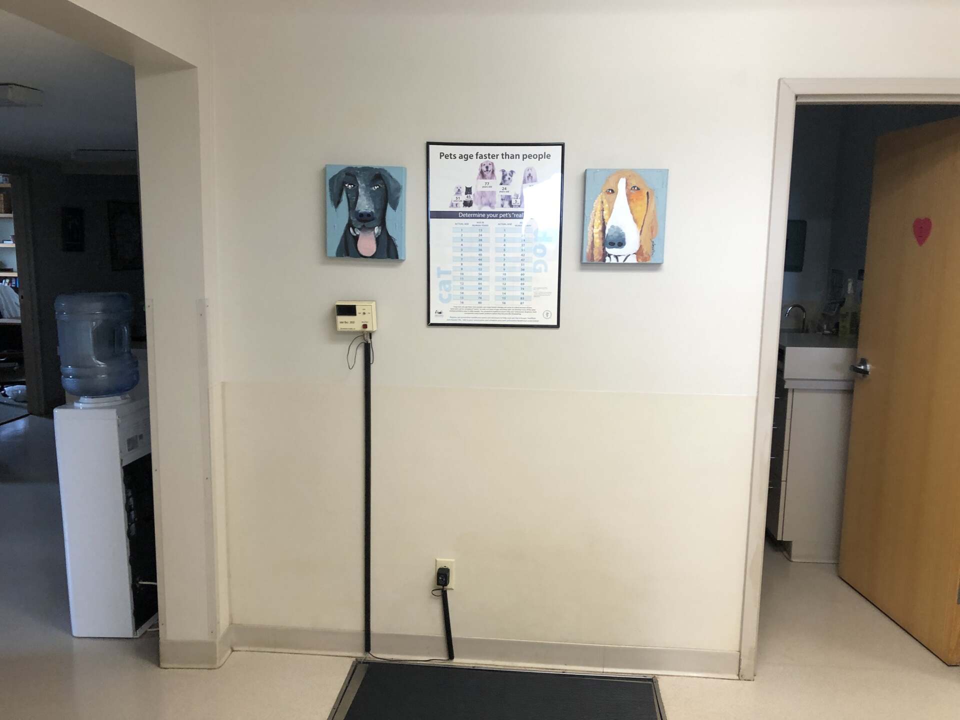 About Albany Veterinary Clinic, Inc Albany Pet Pharmacy