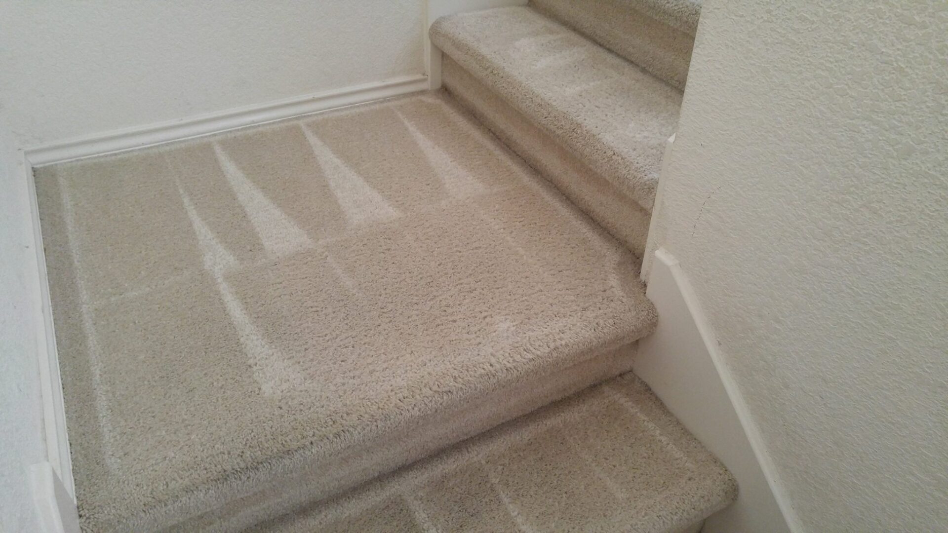 Carpet Cleaning Company TX