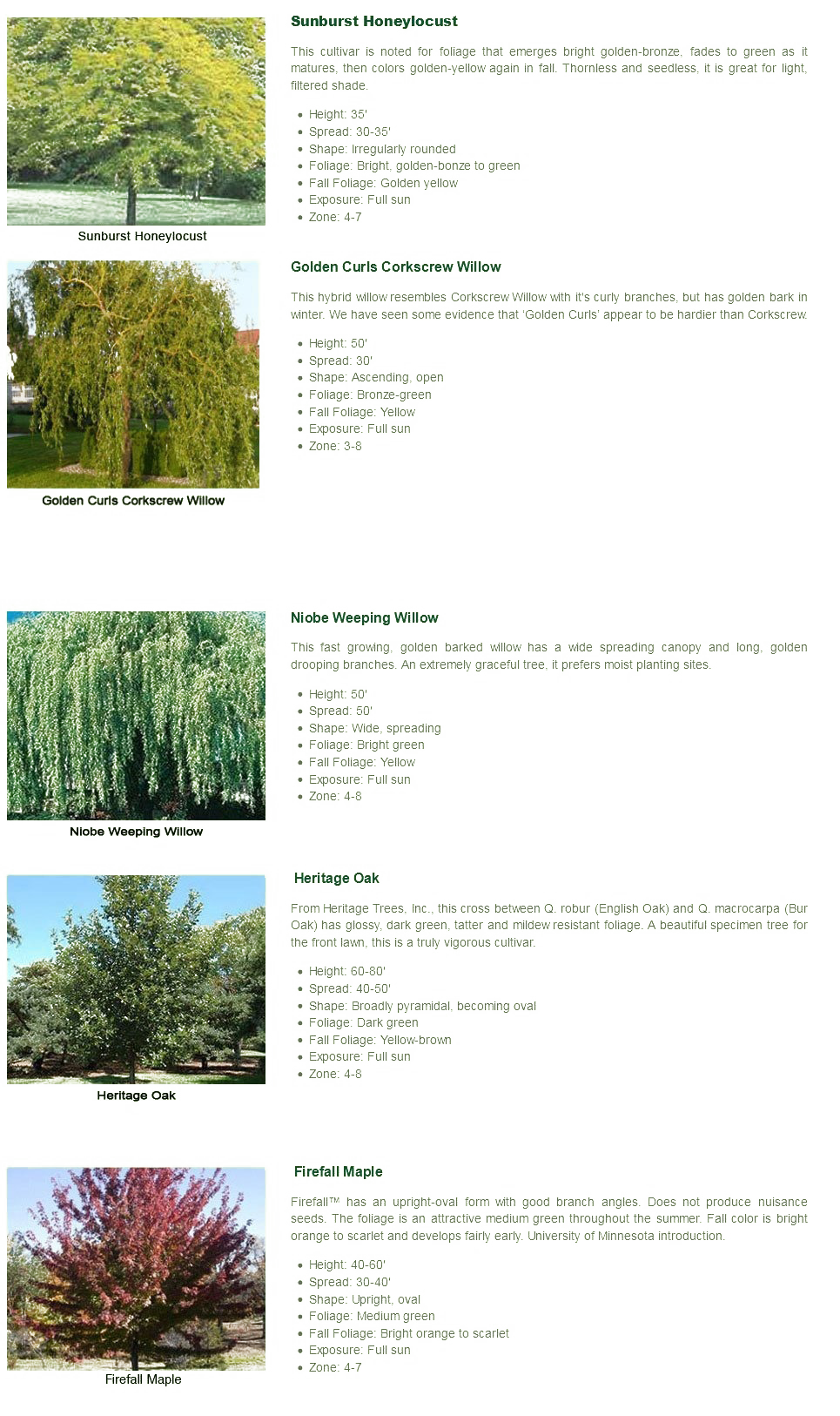 Shade Tree Collection Stanley, WI