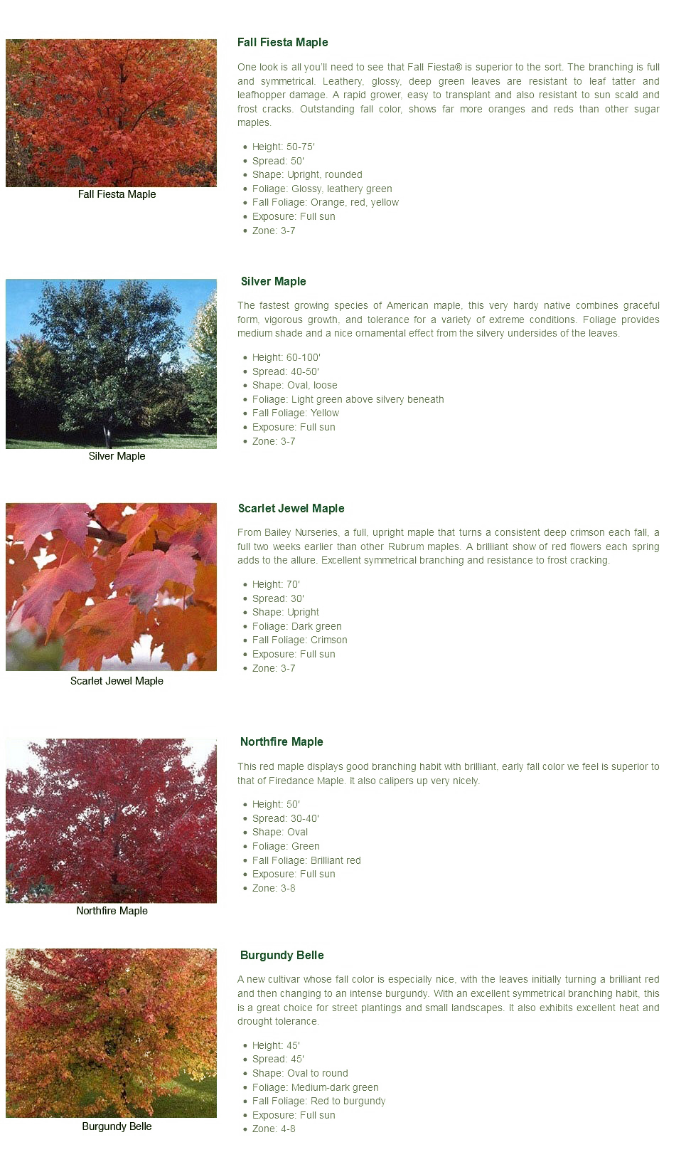 Shade Tree Collection Stanley, WI