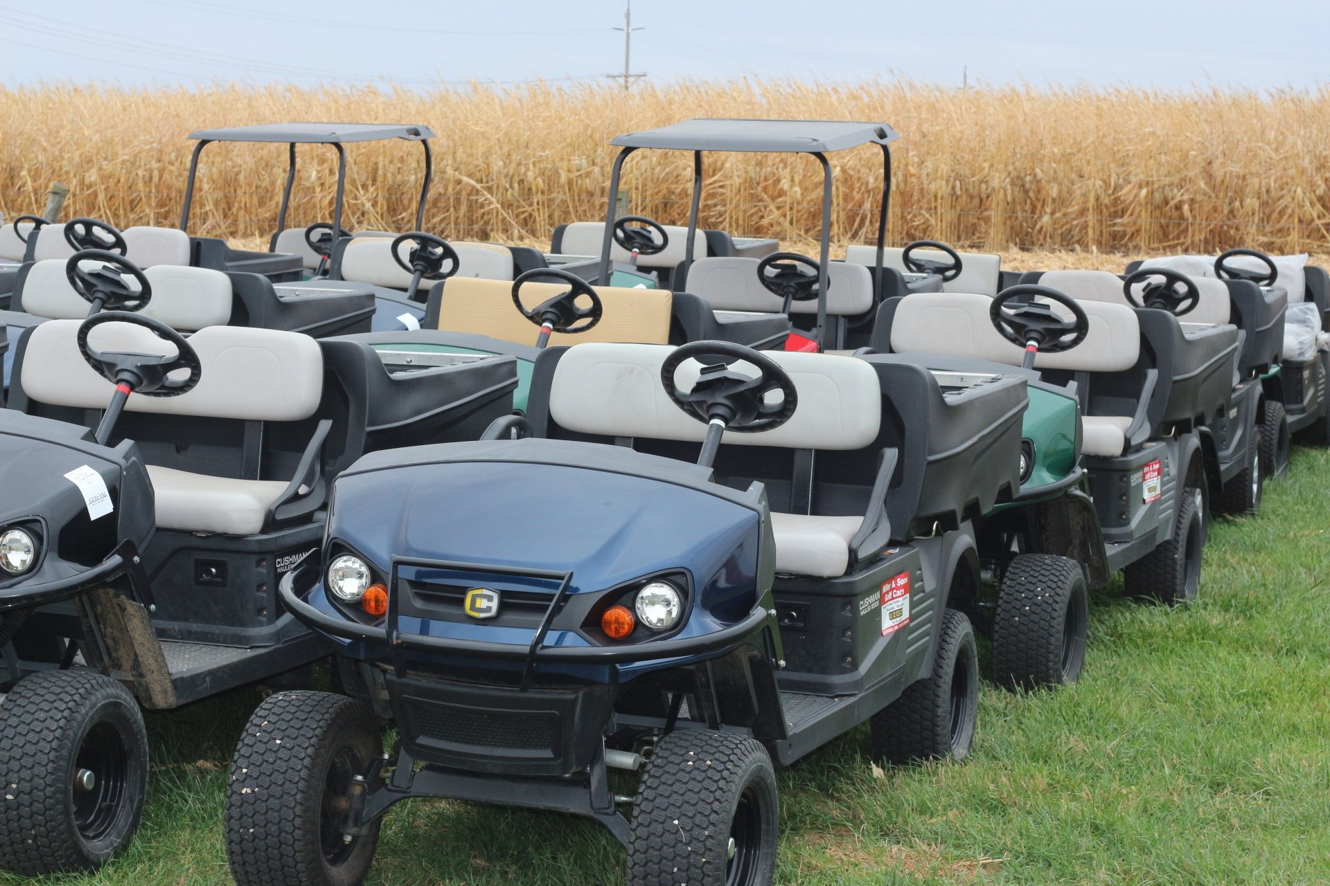 Miller & Sons Golf Cars Cushman Haulers Britt, IA