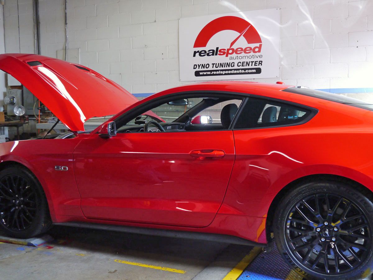 Photo Gallery | Realspeed Automotive