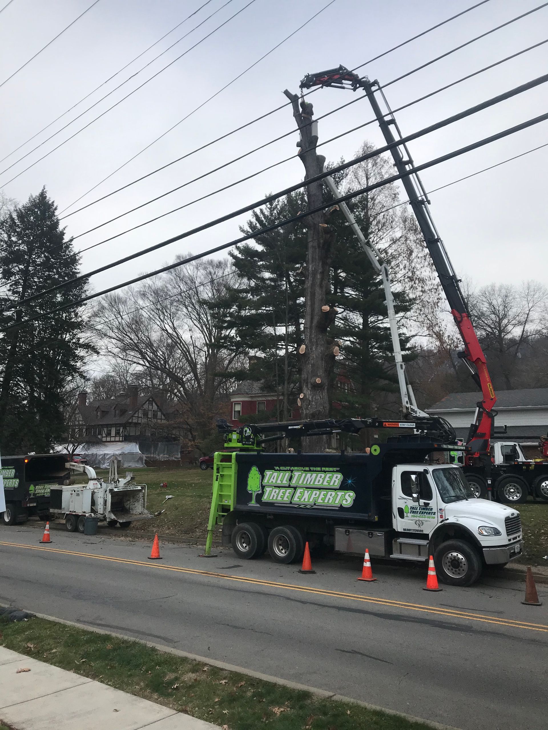 Tree Services & Land Clearing | Tall Timber Tree Experts | Pittsburgh, PA