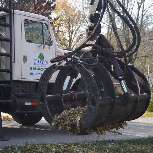 Tree Companies Kansas City, MO | Eden Tree Service