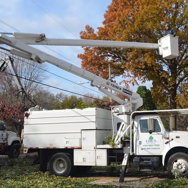Tree Companies Kansas City, MO | Eden Tree Service