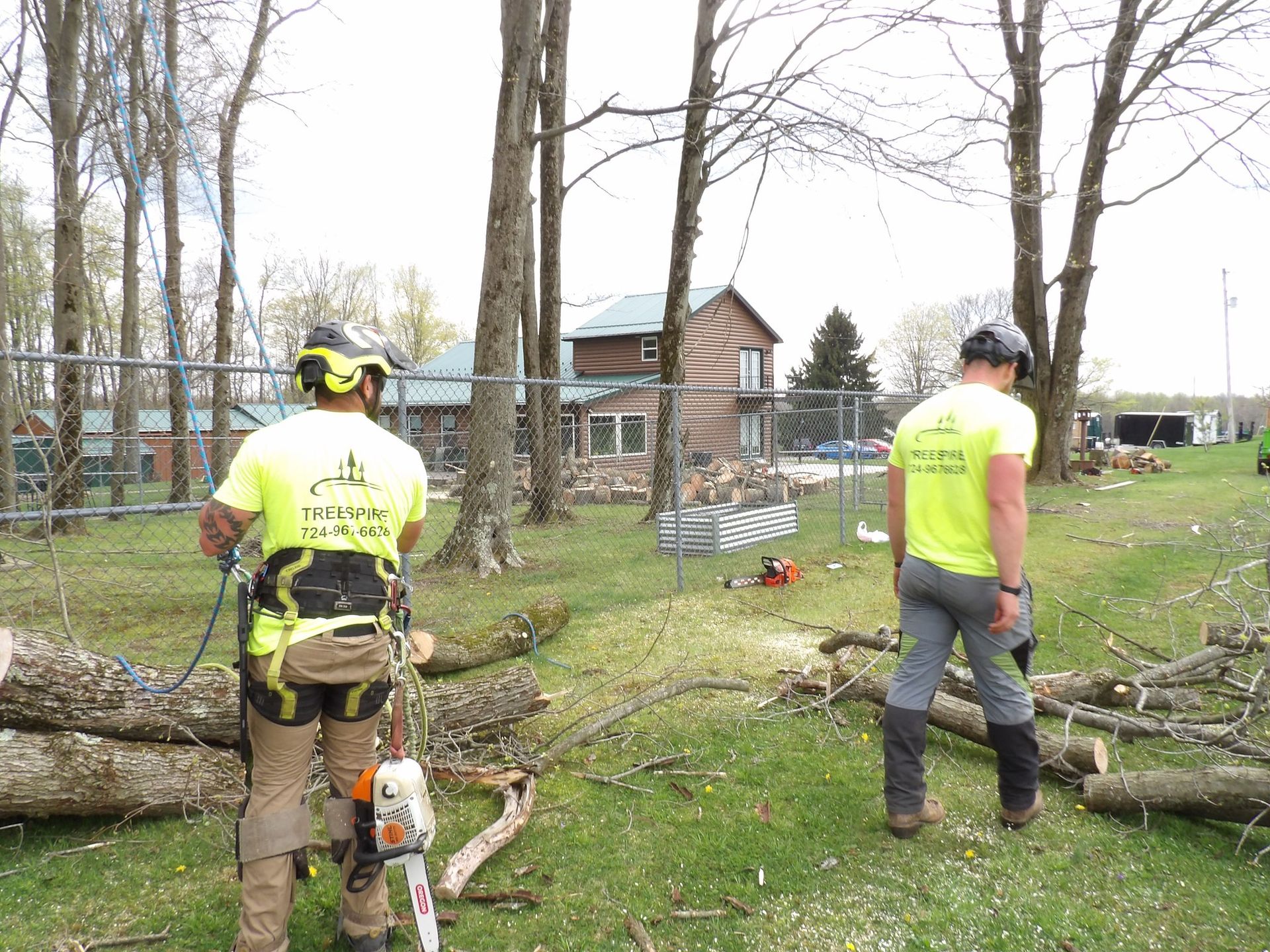 Tree Workers Solving Problem Tree Care Services | TreeSpire | Pittsburgh, PA