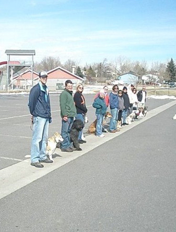 Canine Psychology Center Dog Trainer Pine, CO