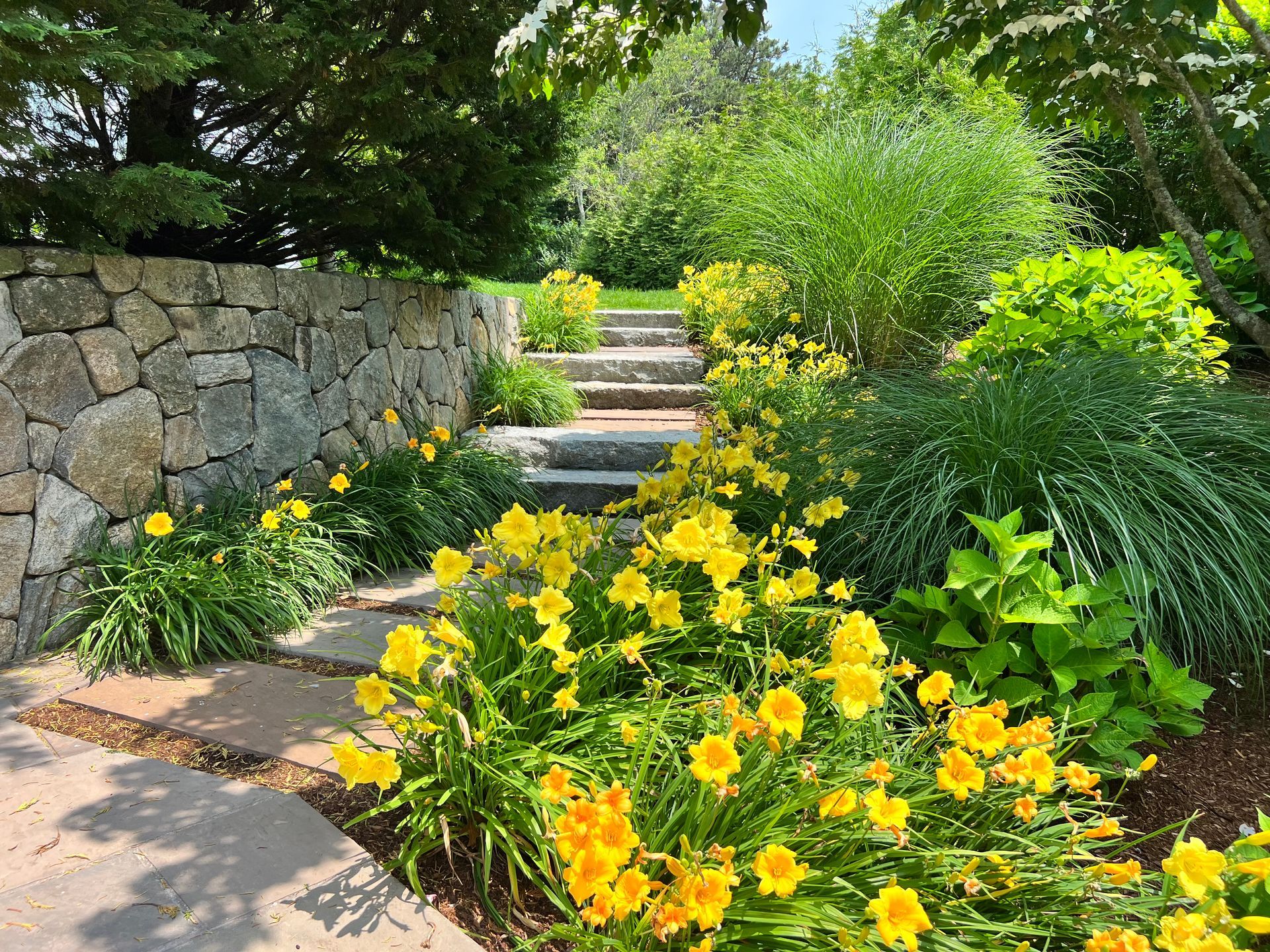 Landscaping Contractors Cape Cod, MA The Growing Company, Inc