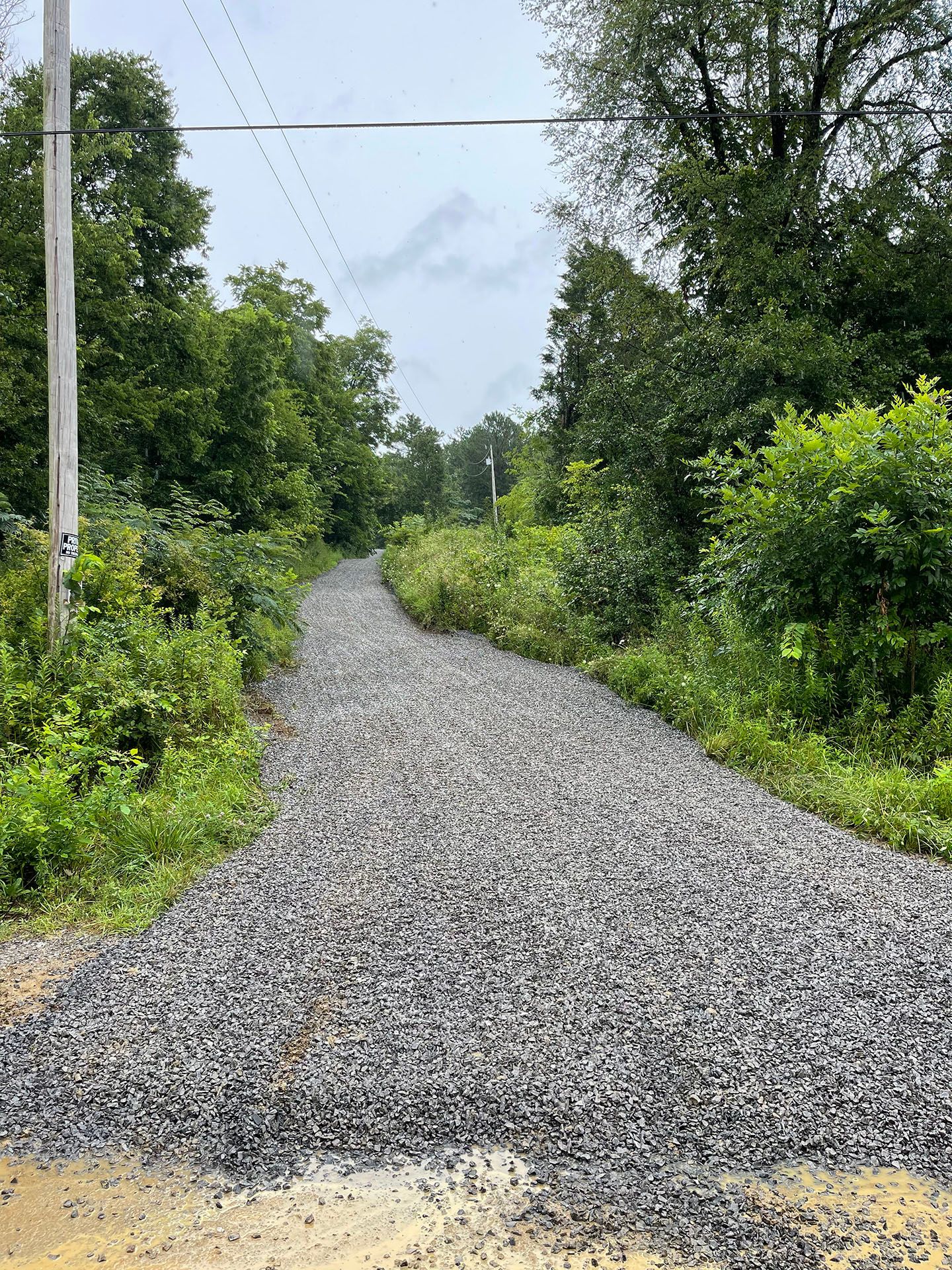 A gravel road going through a lush green forest.