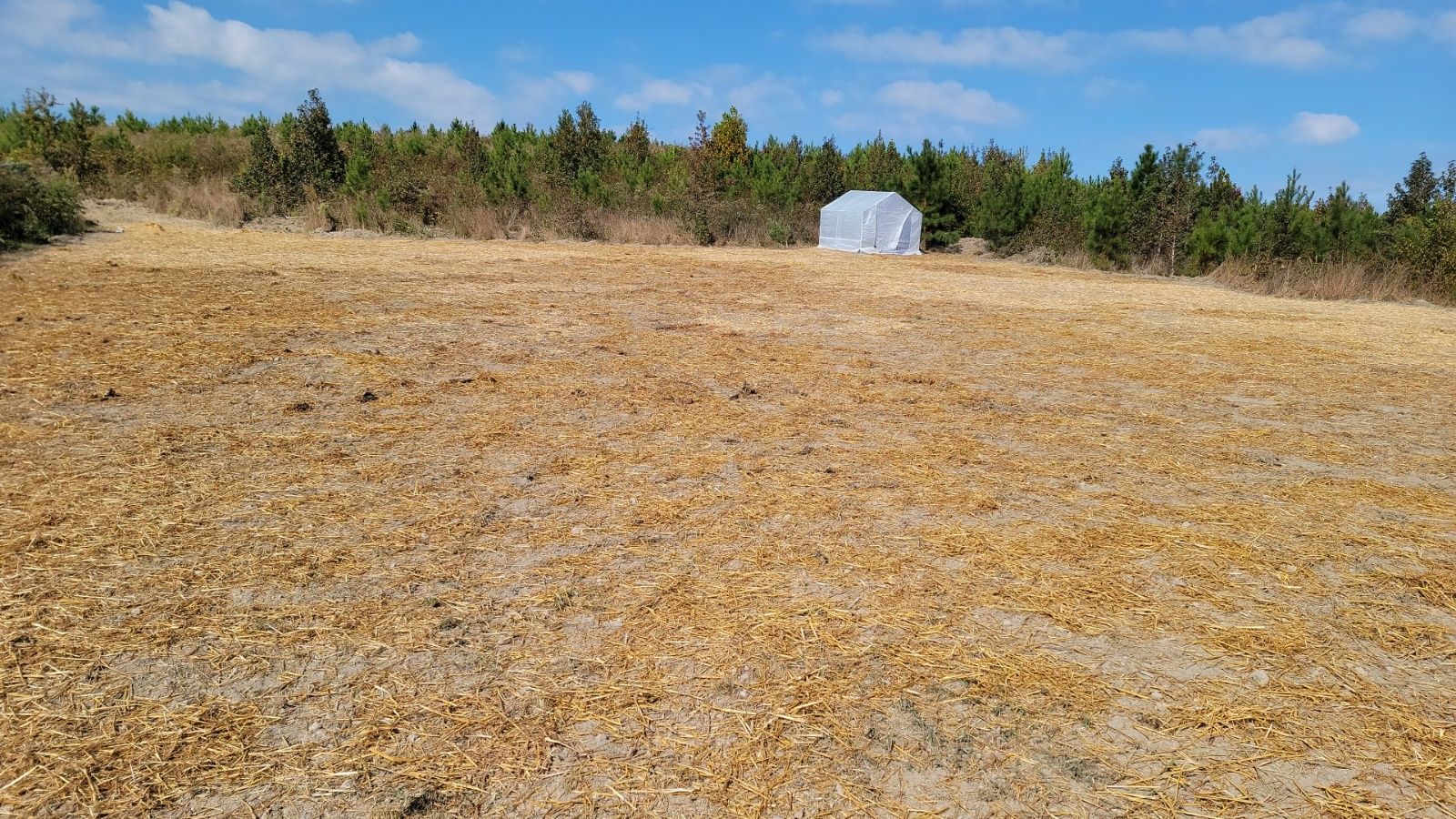 There is a white tent in the middle of a field.