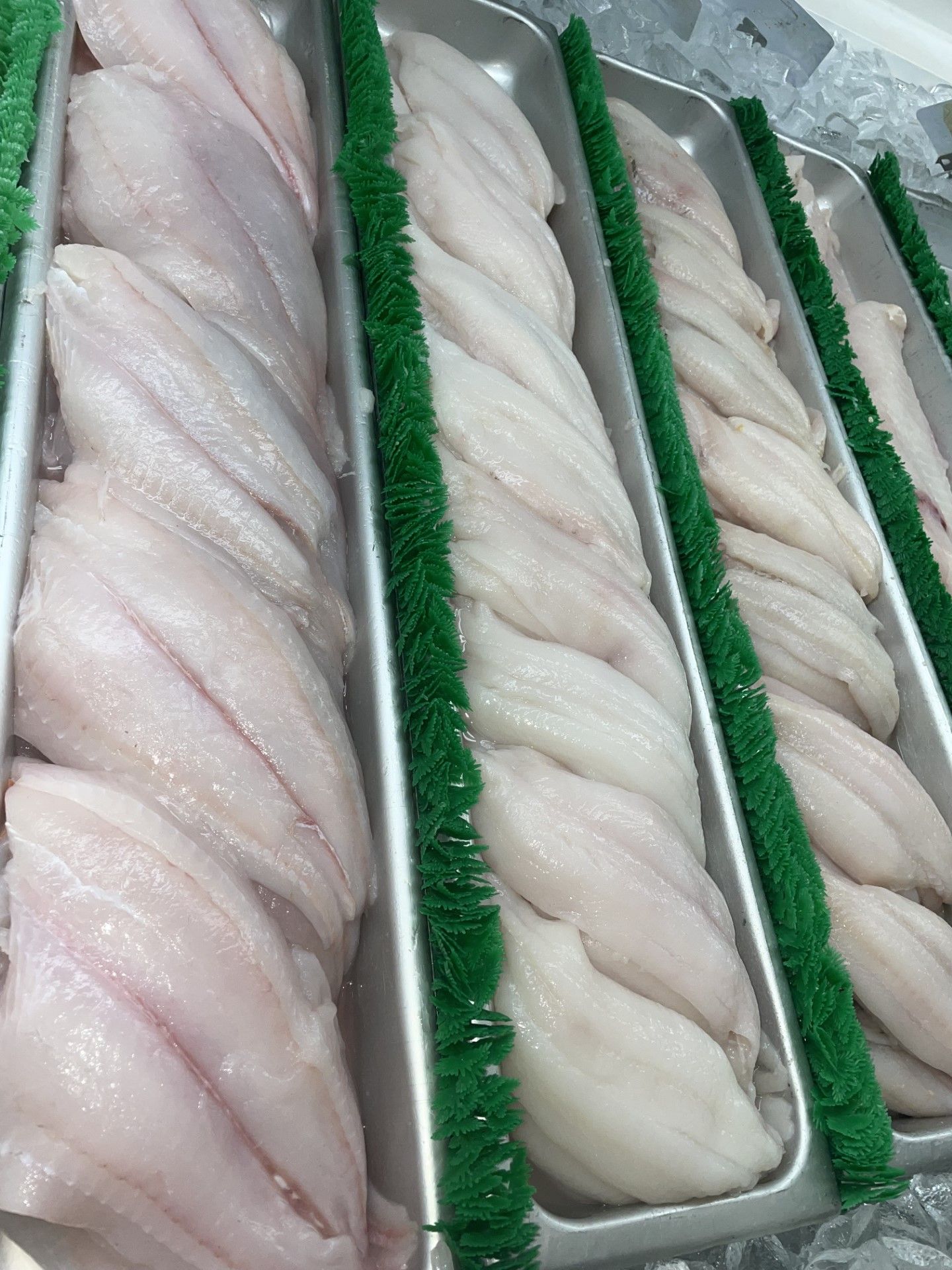 Tuna, Sea Bass and Cod Fish Sales Wakefield, RI