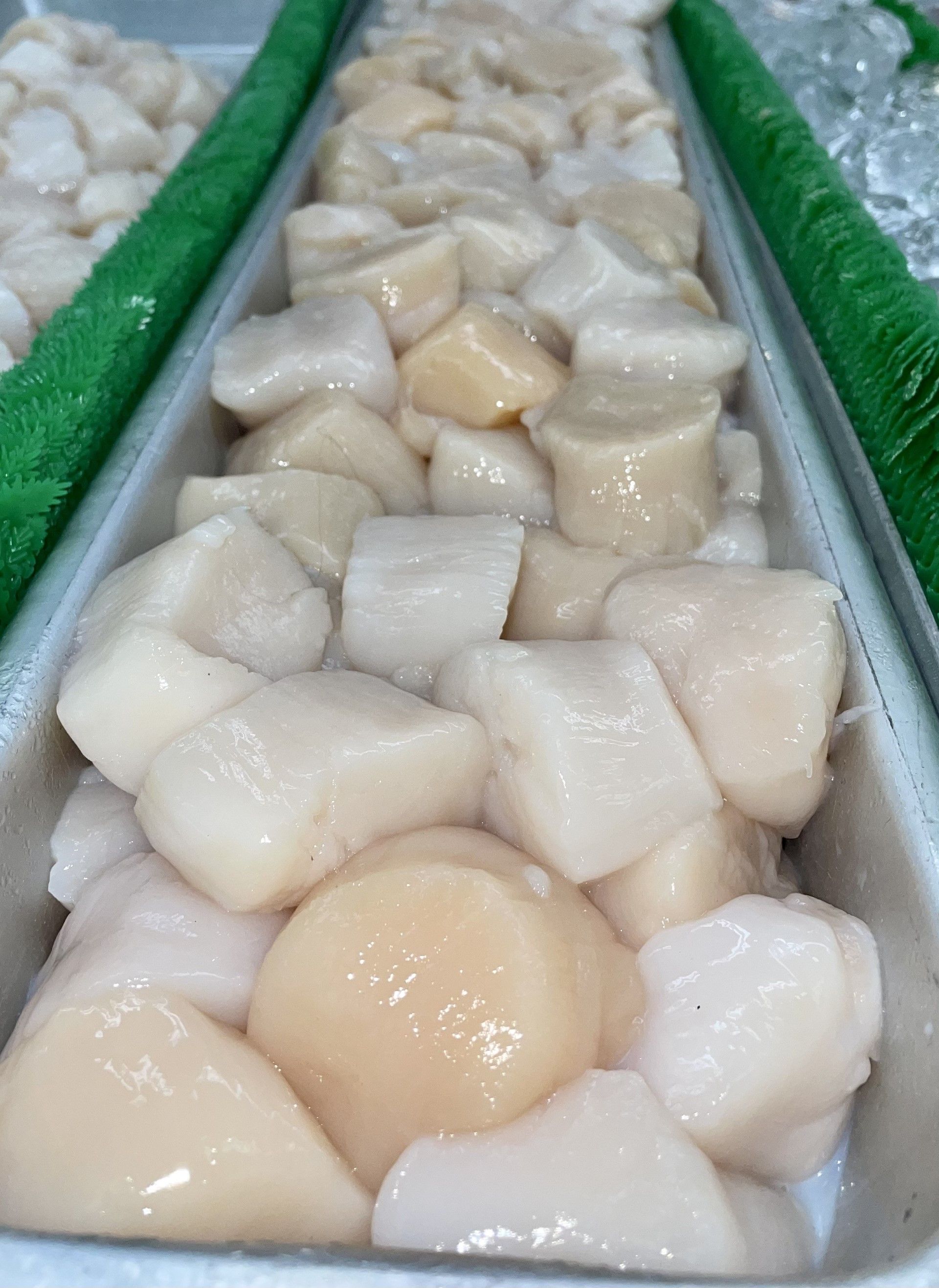 Tuna, Sea Bass and Cod Fish Sales Wakefield, RI