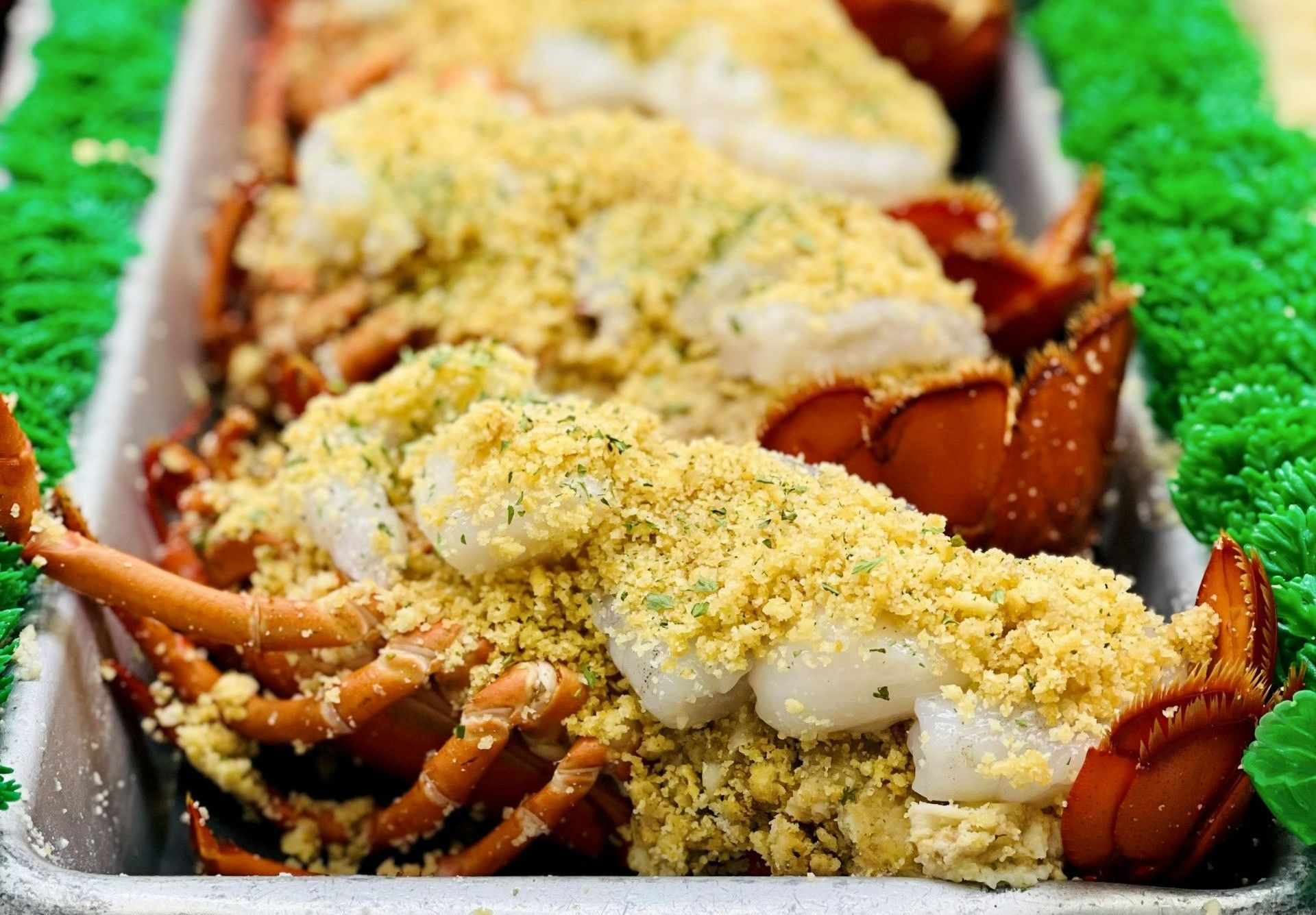 Fresh HardShell Lobsters Wakefield, RI