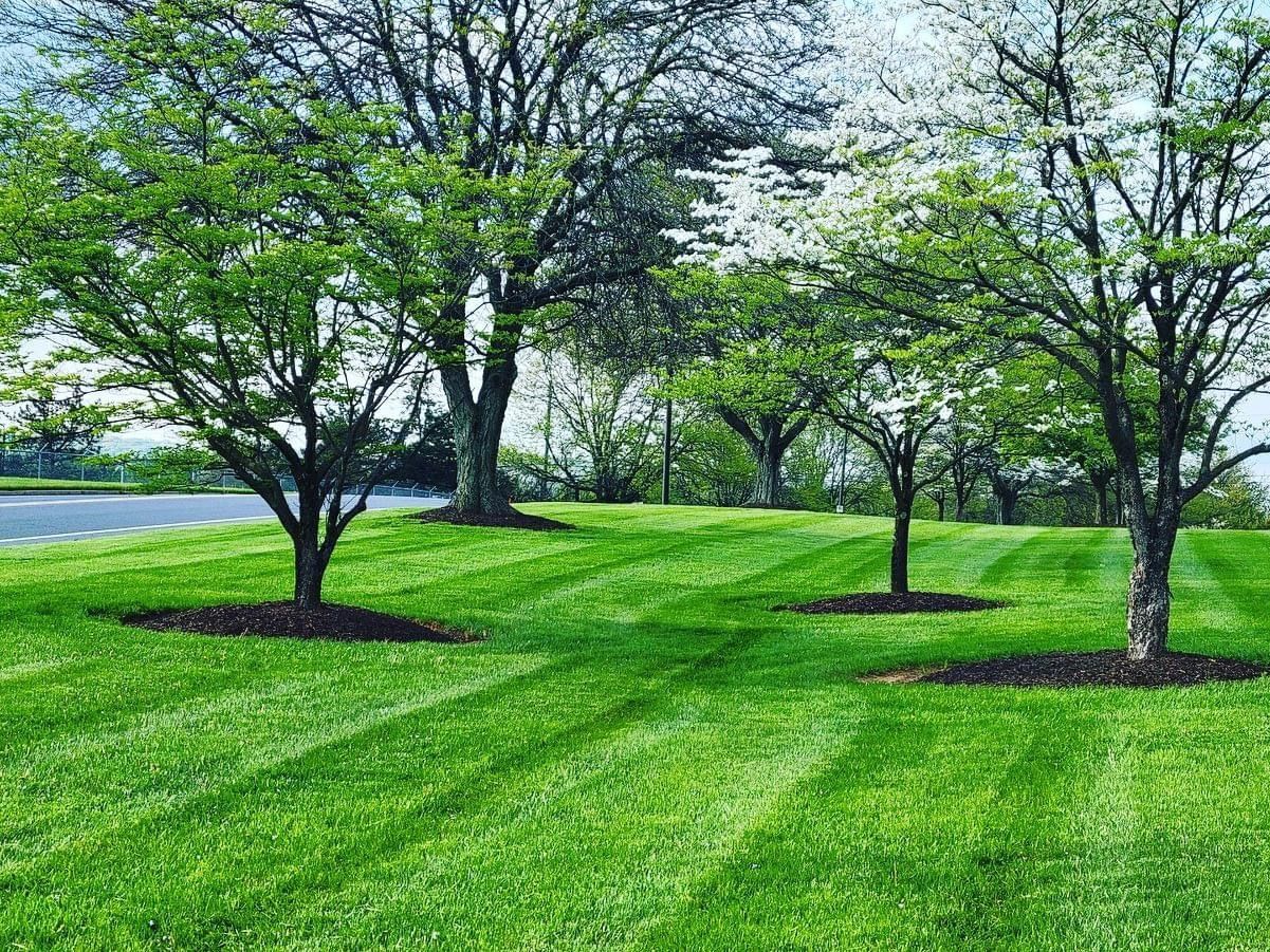 Landscaping Services Gallery Blades of Steel Landscaping