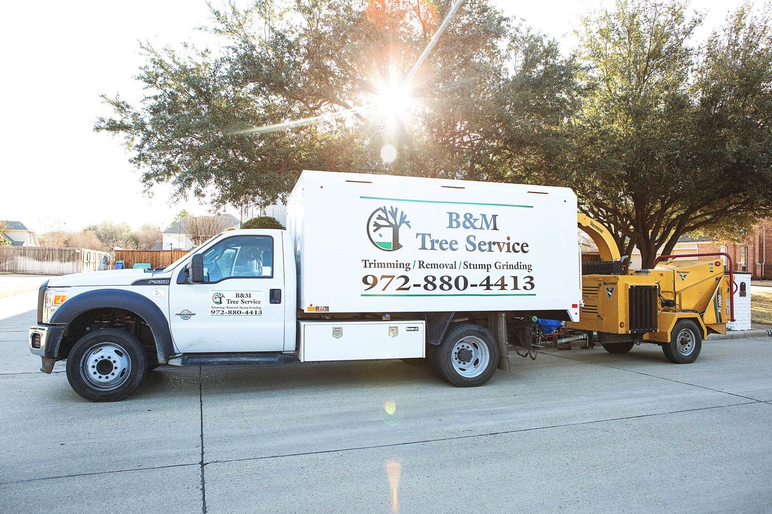 Project Gallery B&M Tree Service
