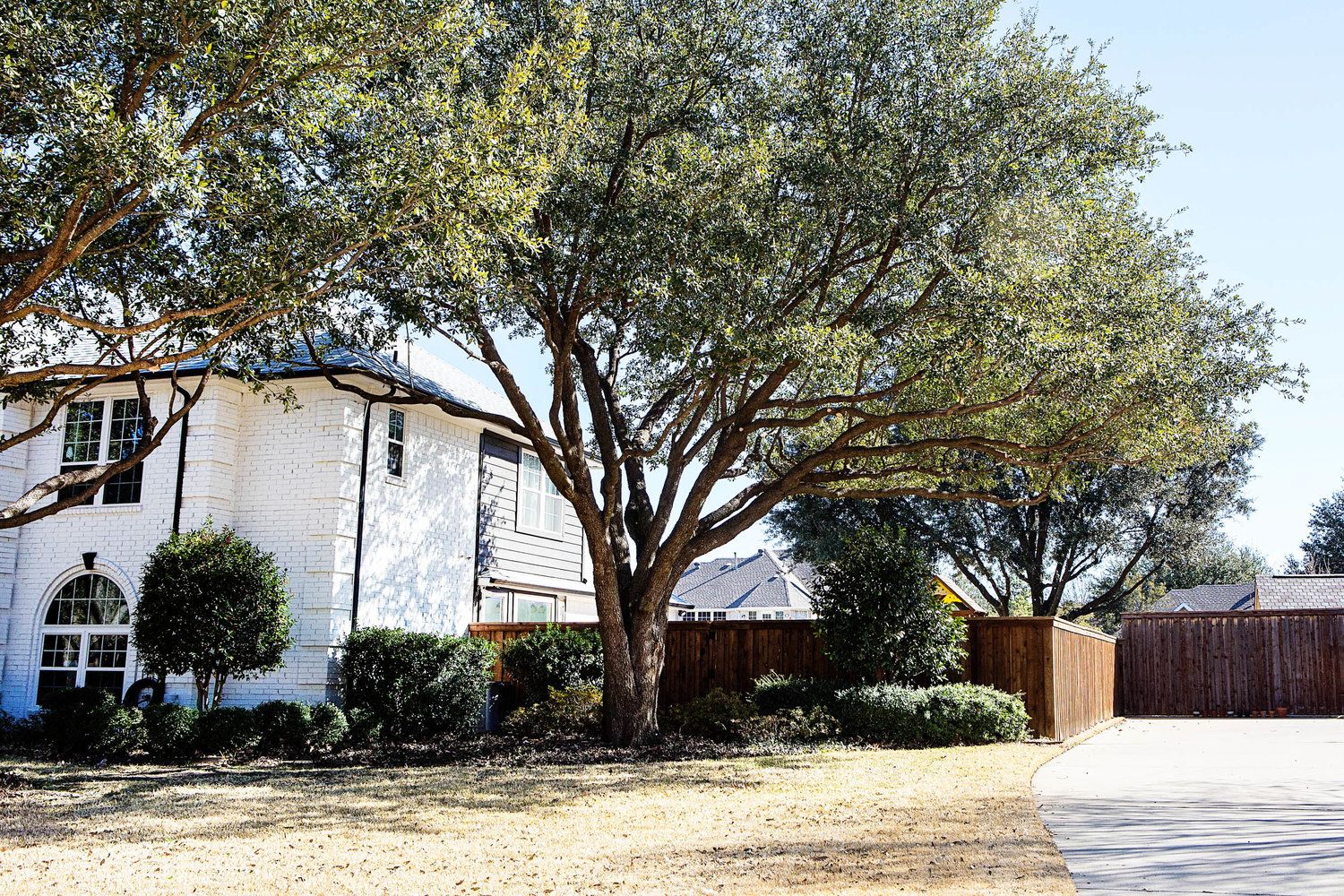 Project Gallery B&M Tree Service