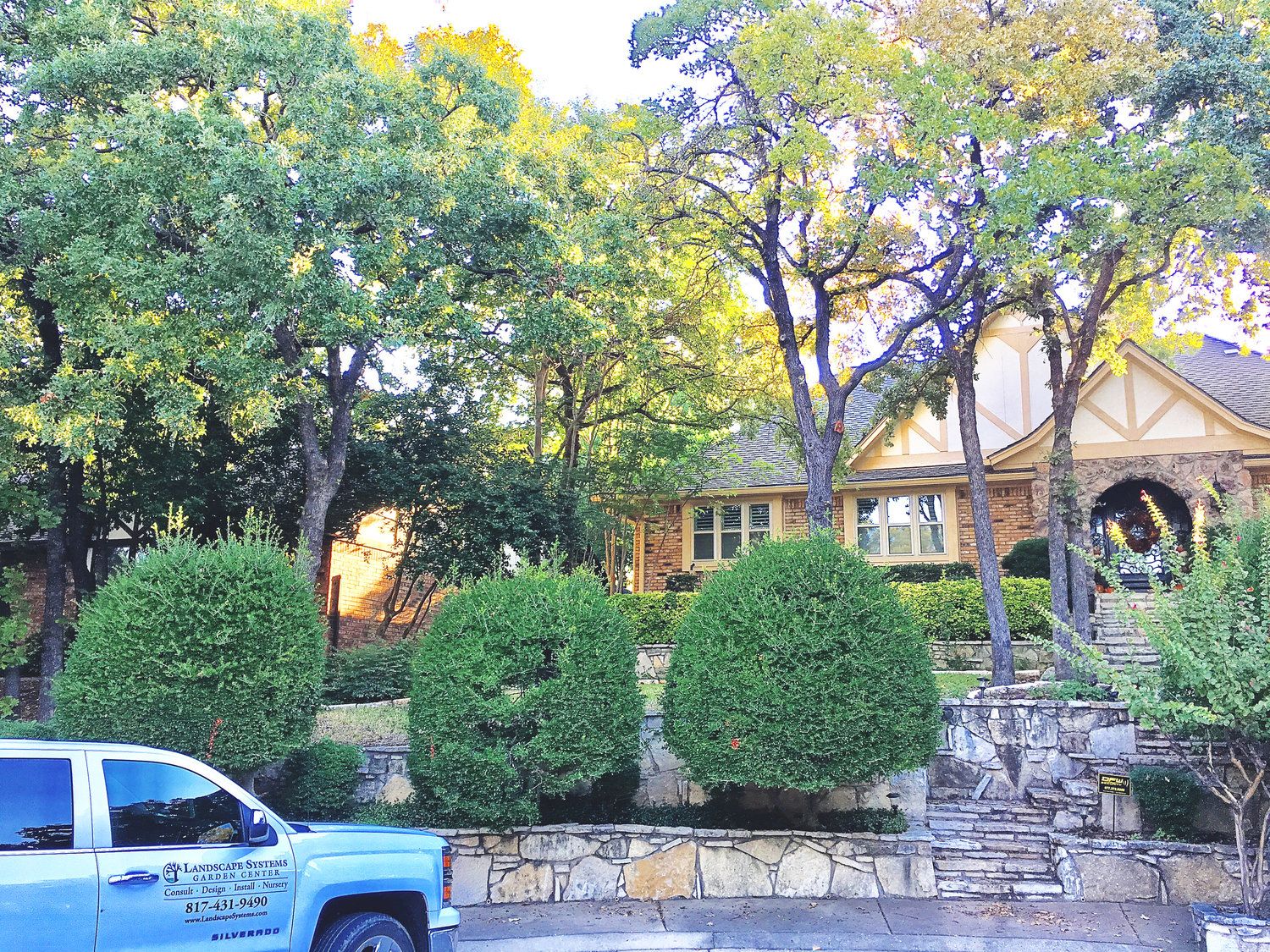 Project Gallery B&M Tree Service