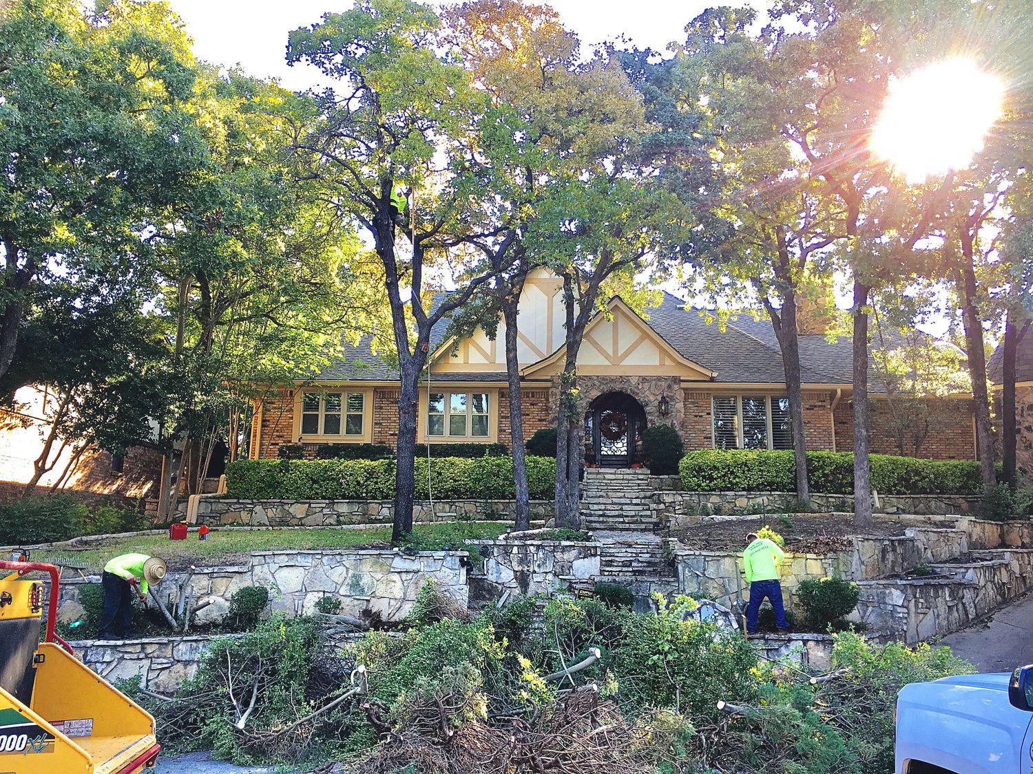 Project Gallery B&M Tree Service