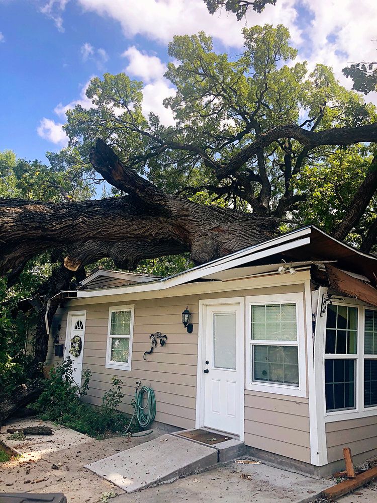 Project Gallery B&M Tree Service