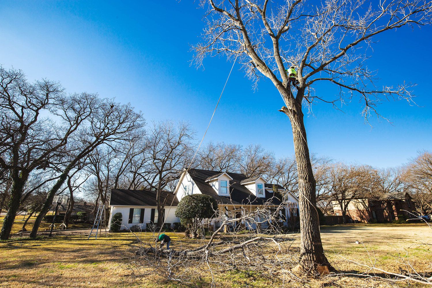 Project Gallery B&M Tree Service
