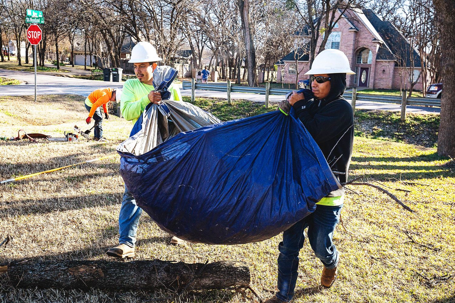 Project Gallery B&M Tree Service