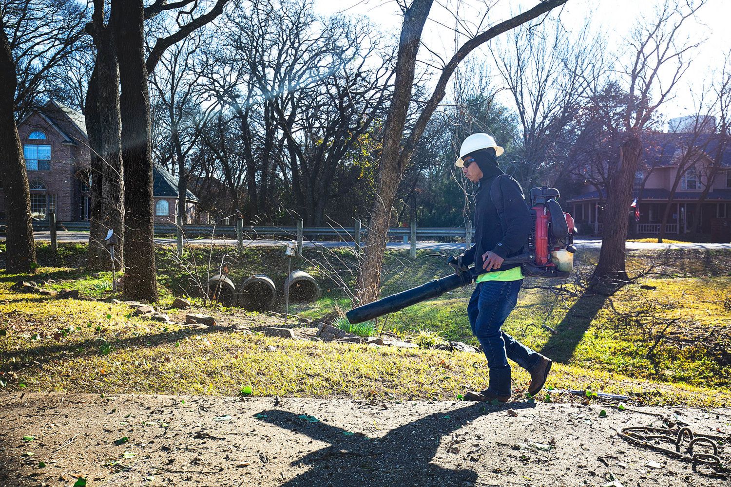 Project Gallery B&M Tree Service