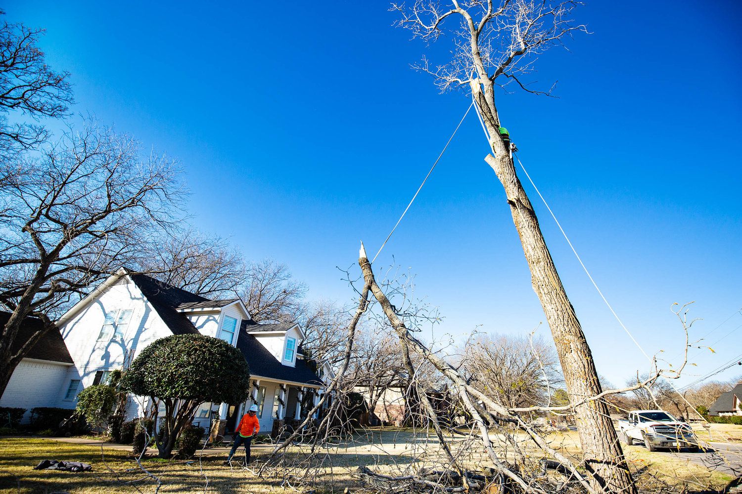 Project Gallery B&M Tree Service