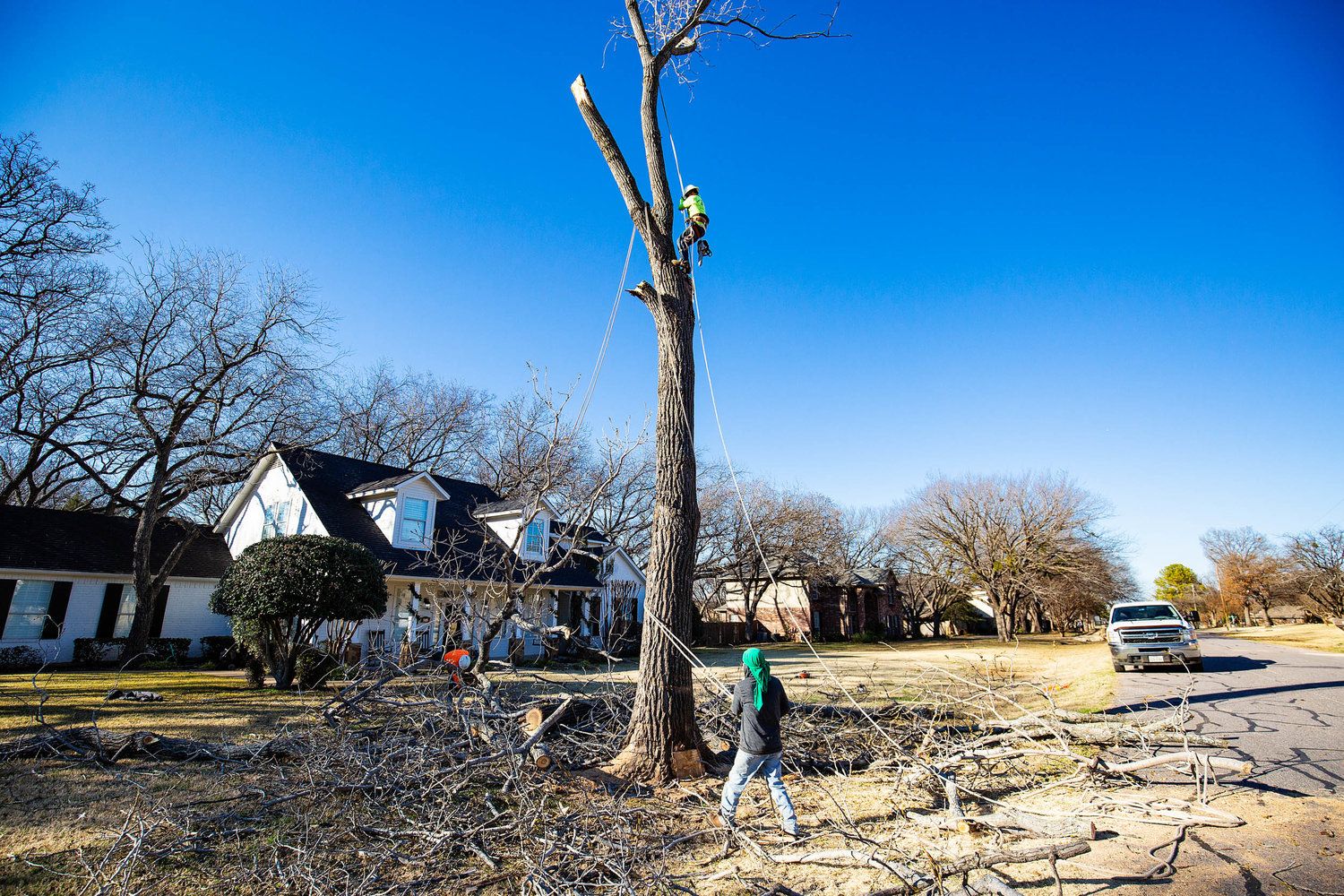 Project Gallery B&M Tree Service