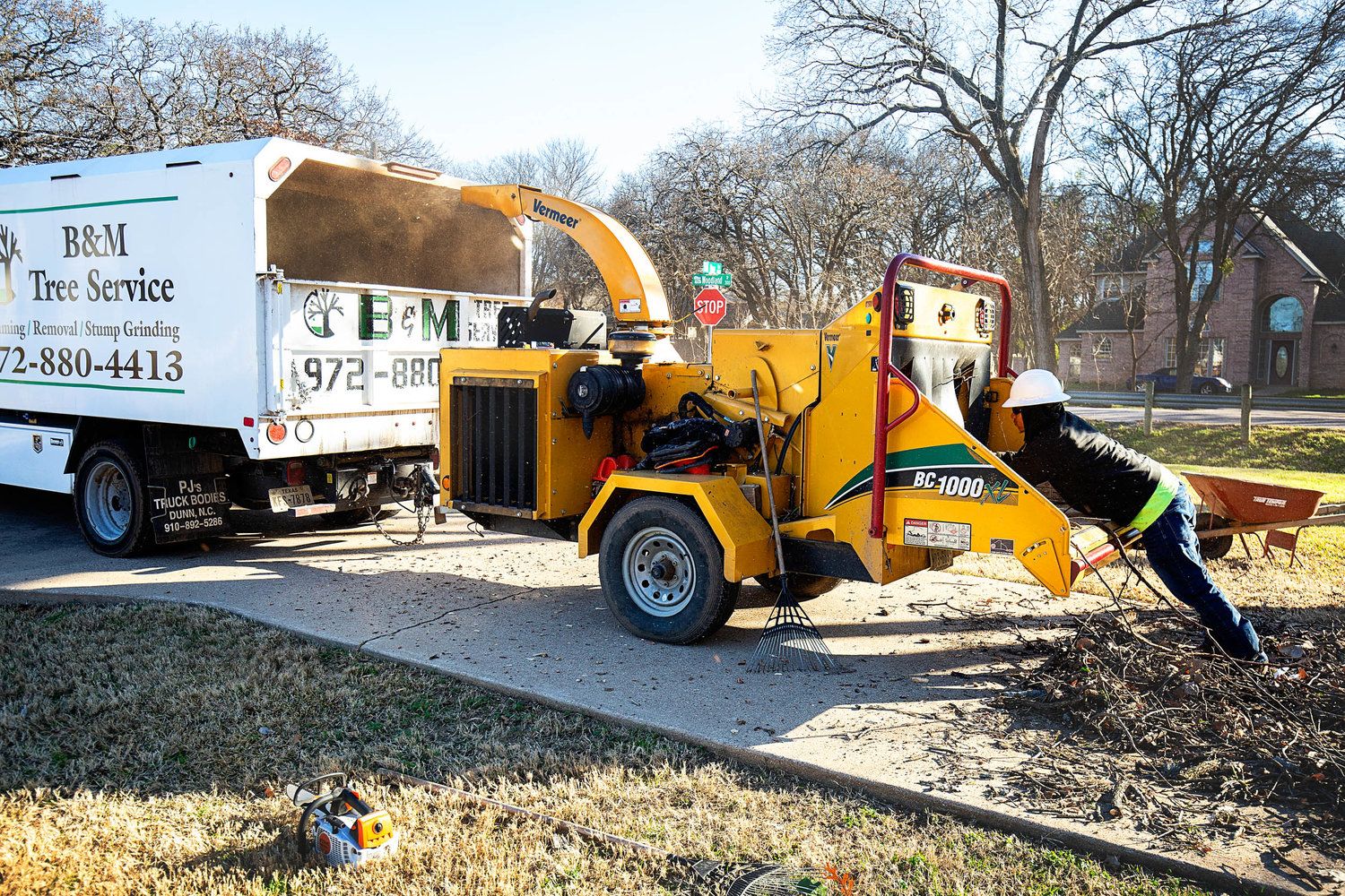 Project Gallery B&M Tree Service