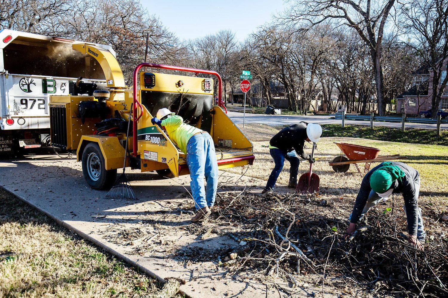 Project Gallery B&M Tree Service