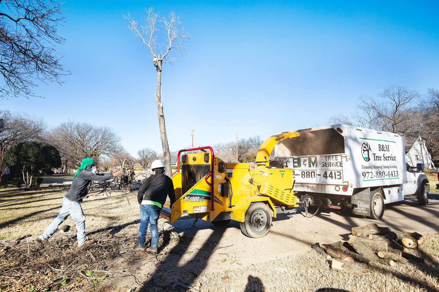 Project Gallery B&M Tree Service