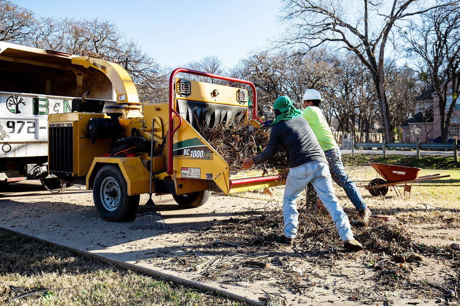 Project Gallery B&M Tree Service