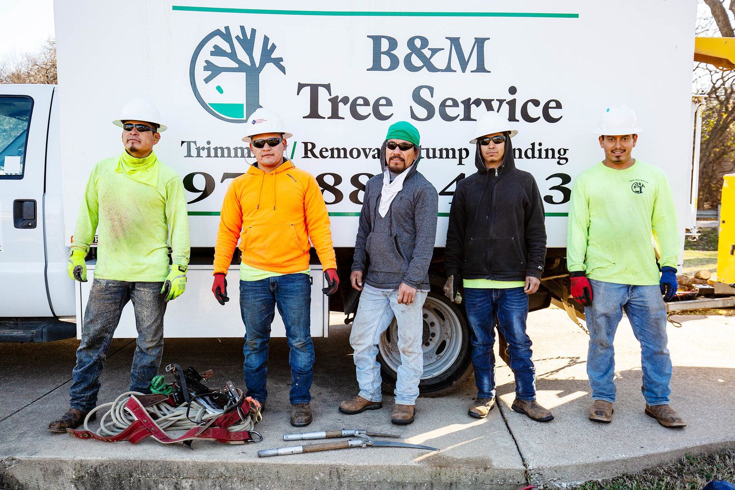 Project Gallery B&M Tree Service