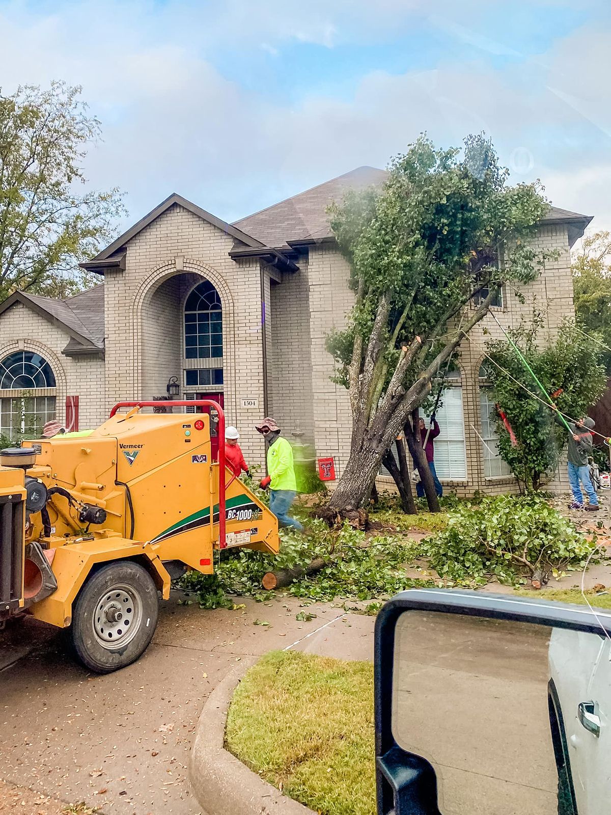 Tree Services Southlake TX Westlake TX B&M Tree Service