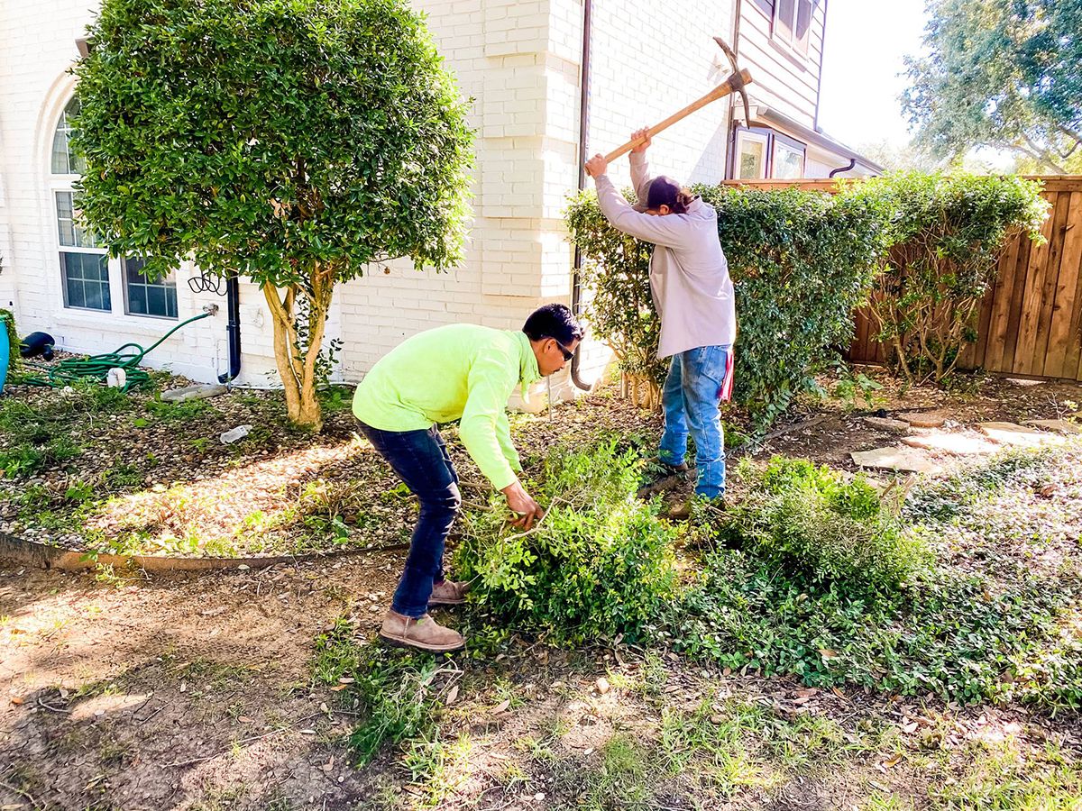Tree Services Southlake TX Westlake TX B&M Tree Service