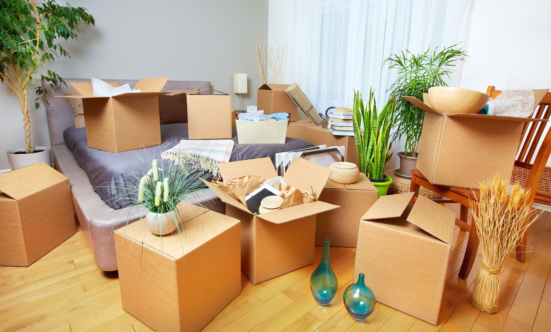 Moving Companies Chicago, IL | Evanston, IL | Joey's Movers