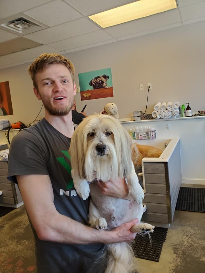 Animal House Self Service Dog Grooming Gallery Kennewick WA
