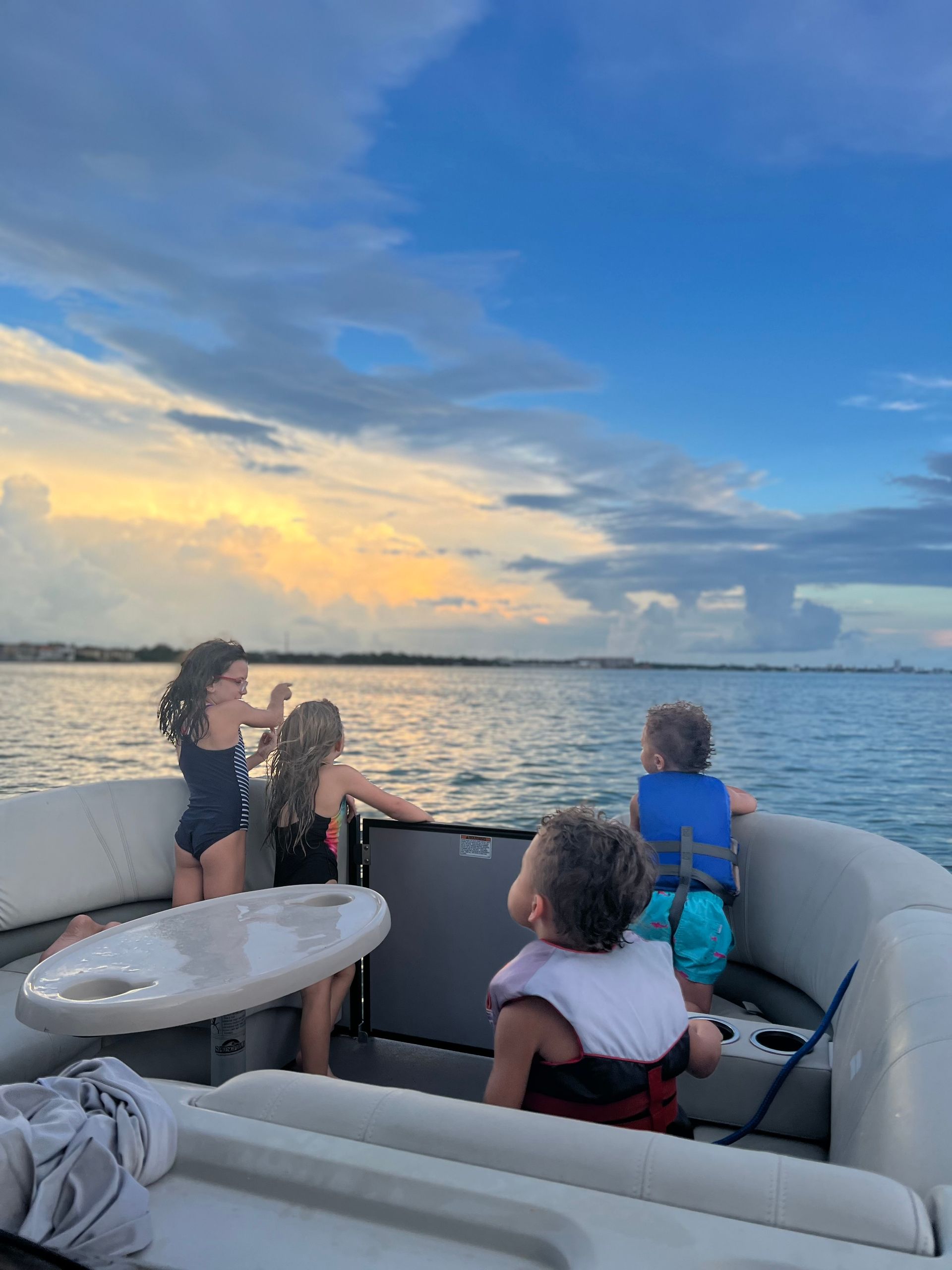 Dolphin Boat Tours Clearwater Beach Dunedin Tropical Tours