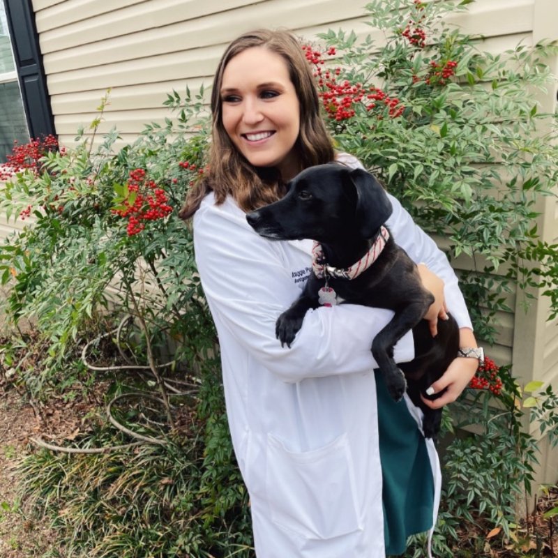 Meet Our Team Pet Care Center