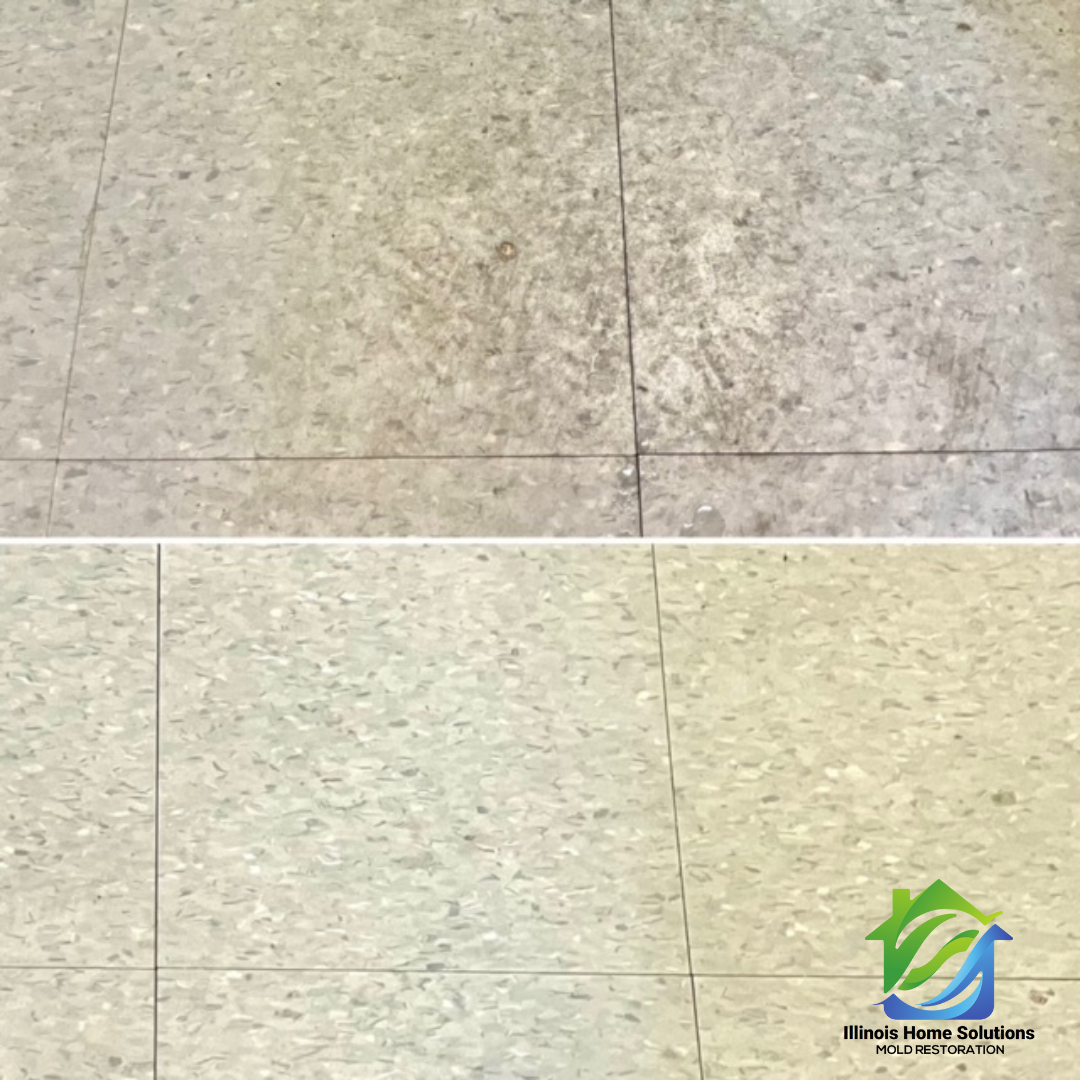 Floor Care Carpet Cleaning East Peoria, IL