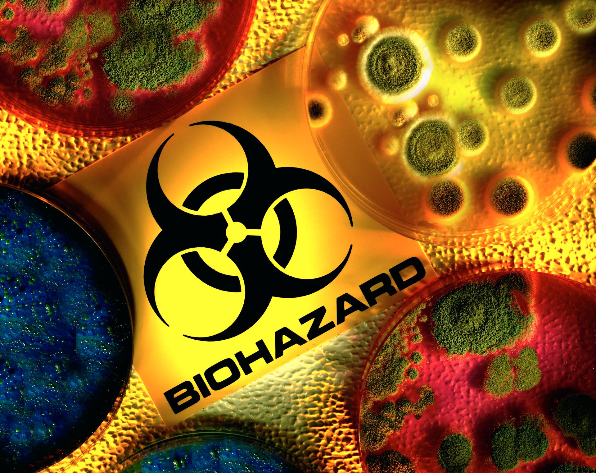 Carpet Cleaning Companies La Crosse, WI