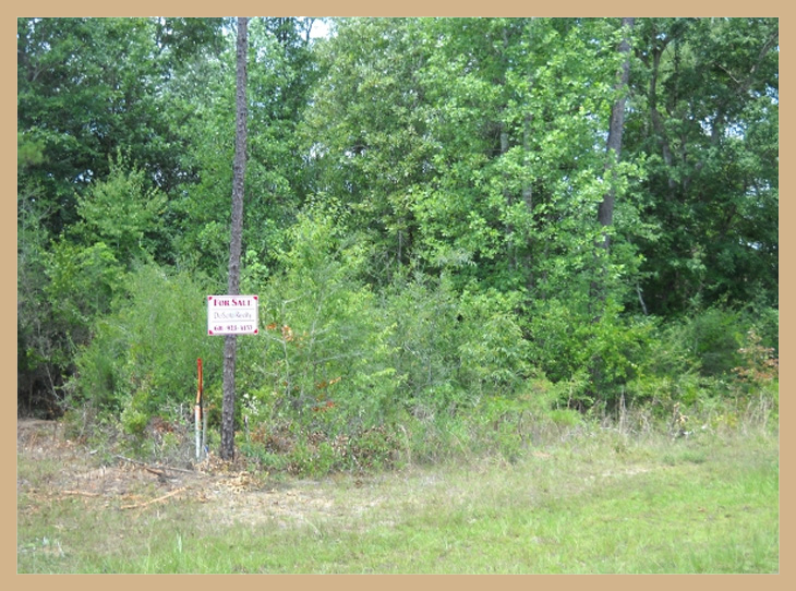 About DeSoto Land & Timber Wiggins, MS Land for Sale Hunting Property