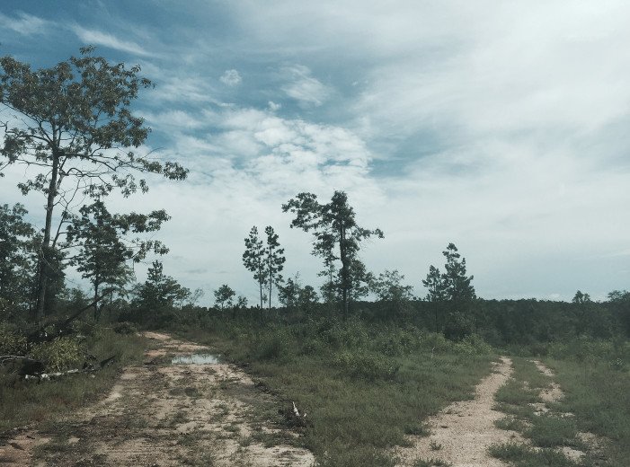 Forrest County Residential Properties Land For Sale Wiggins, MS