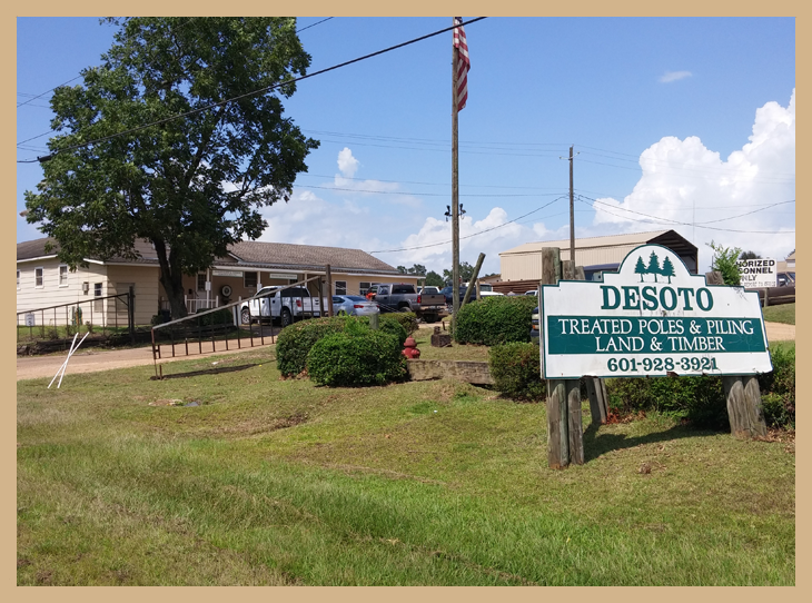 DeSoto Land & Timber Land for Sale Land Properties Wiggins, MS
