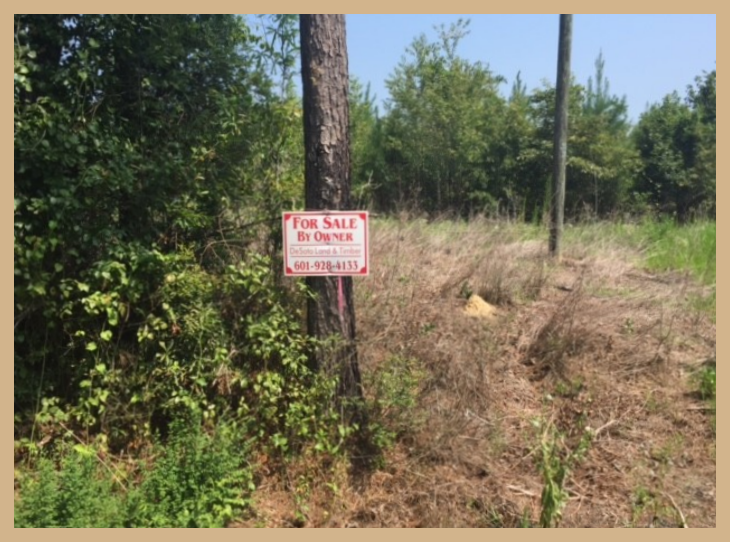 Perry County Residential and Commercial Properties for Sale Wiggins, MS